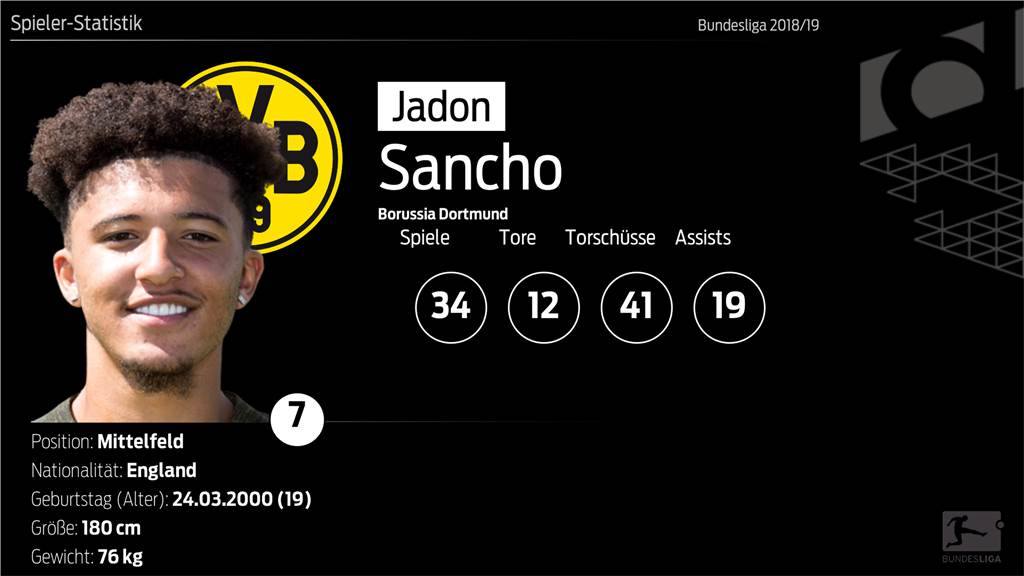 Wer ist Ihr BVB-Spieler der Saison 2018/19? Wer ist Ihr BVB-Spieler der Saison 2018/19?