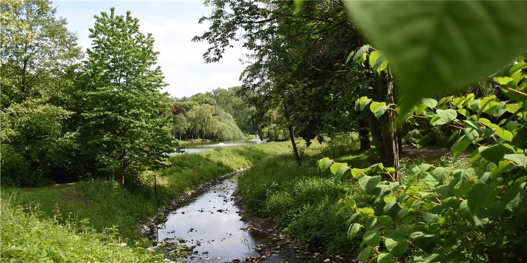 Brutale Tat von Jugendlichen am Stadtsee: So geht es dem schwer verletzten 35-Jährigen
