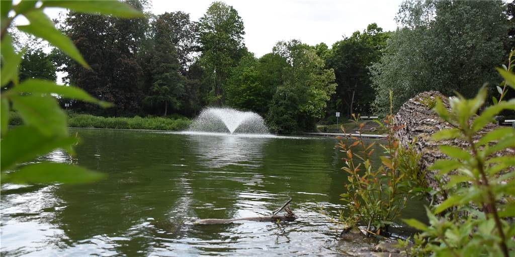 Mit Stein ins Gesicht geschlagen - So erlebte das Werner Opfer die brutale Stadtsee-Attacke Mit Stein ins Gesicht geschlagen - So erlebte das Werner Opfer die brutale Stadtsee-Attacke