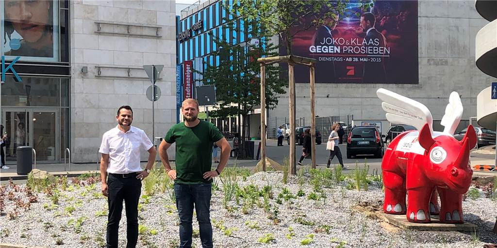 Stadt verbietet Schotterbeete, legt aber selbst welche an – und das mit voller Absicht Stadt verbietet Schotterbeete, legt aber selbst welche an – und das mit voller Absicht