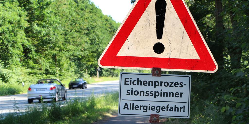 15 Patienten am Tag: Wernes Arztpraxen sind voll mit Opfern des Eichenprozessionsspinners 15 Patienten am Tag: Wernes Arztpraxen sind voll mit Opfern des Eichenprozessionsspinners