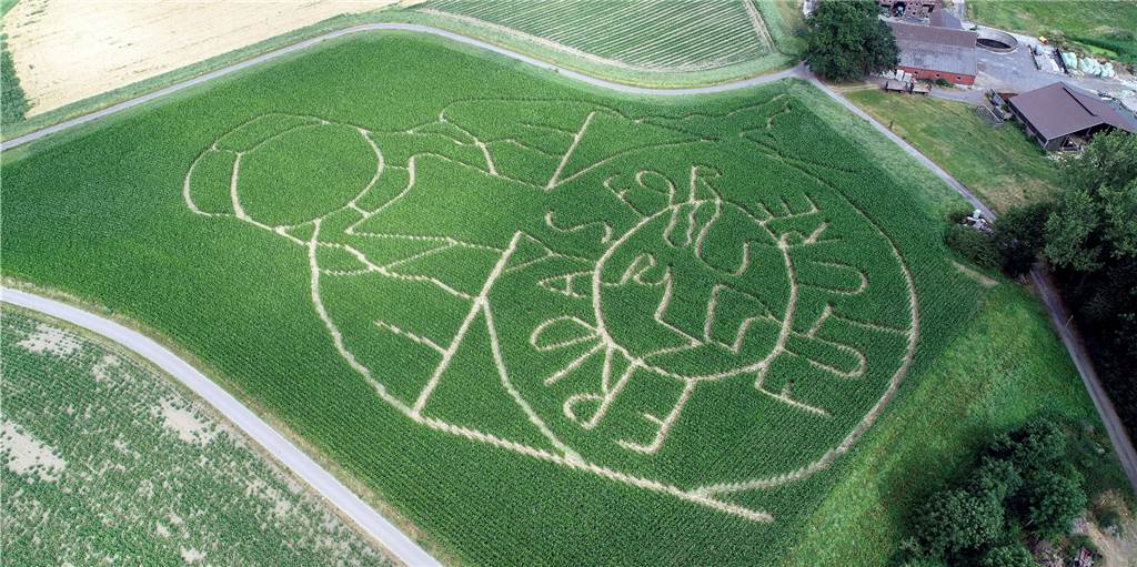 Maislabyrinth for Future: Das ist dieses Jahr Thema im Maisfeld von Hof Lünemann Maislabyrinth for Future: Das ist dieses Jahr Thema im Maisfeld von Hof Lünemann