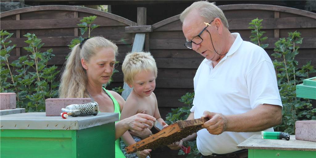 Vier Jahre geduldet, jetzt sollen 40.000 kleine Summer weg Vier Jahre geduldet, jetzt sollen 40.000 kleine Summer weg