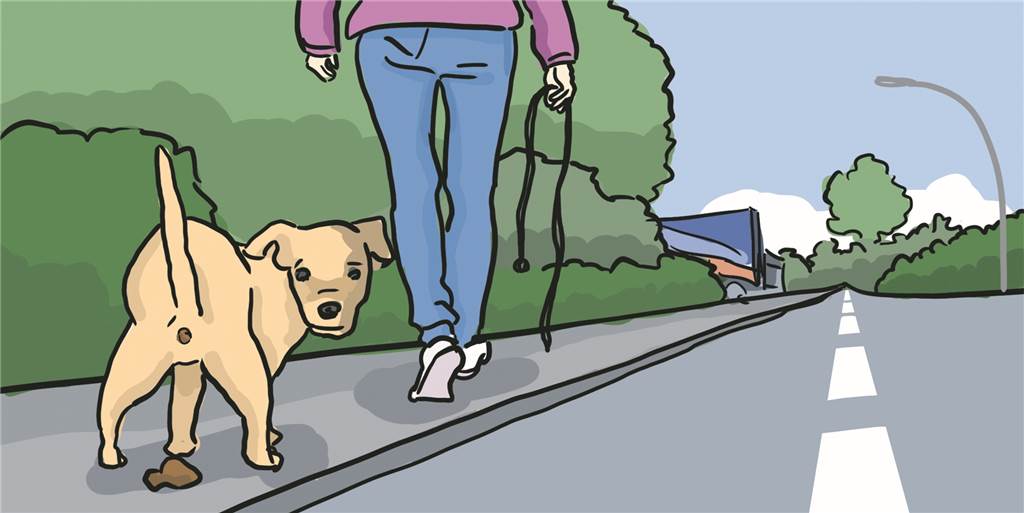 Beschissene Bilanz für Hundekot-Knöllchen: Ordnungsamt muss endlich härter vorgehen! Beschissene Bilanz für Hundekot-Knöllchen: Ordnungsamt muss endlich härter vorgehen!