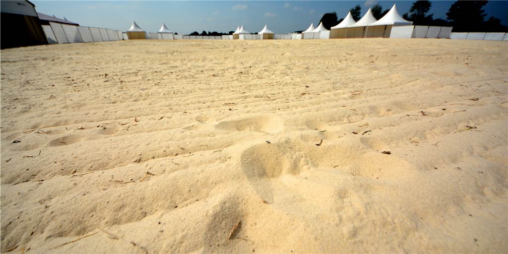Rekordevent steht an: 20.000 Besucher sollen beim Dodgeball-Beach-Cup feiern Rekordevent steht an: 20.000 Besucher sollen beim Dodgeball-Beach-Cup feiern
