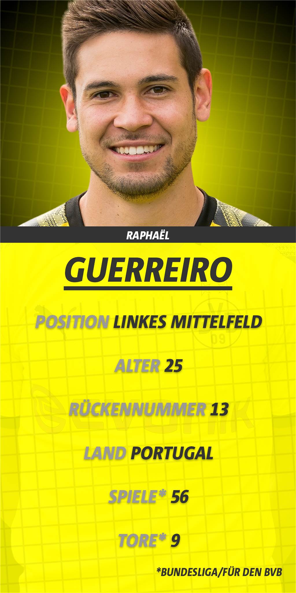 Raphael Guerreiro - Warum BVB-Trainer Lucien Favre einen Verkauf bedauern würde Raphael Guerreiro - Warum BVB-Trainer Lucien Favre einen Verkauf bedauern würde