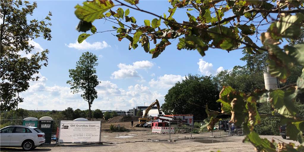 Abgeholzte Bäume und riesiger Parkplatz: Naturschützer kritisieren Wilo Abgeholzte Bäume und riesiger Parkplatz: Naturschützer kritisieren Wilo
