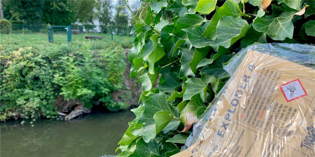Polenböller-Attacke auf Biergarten im Dortmunder Süden Polenböller-Attacke auf Biergarten im Dortmunder Süden