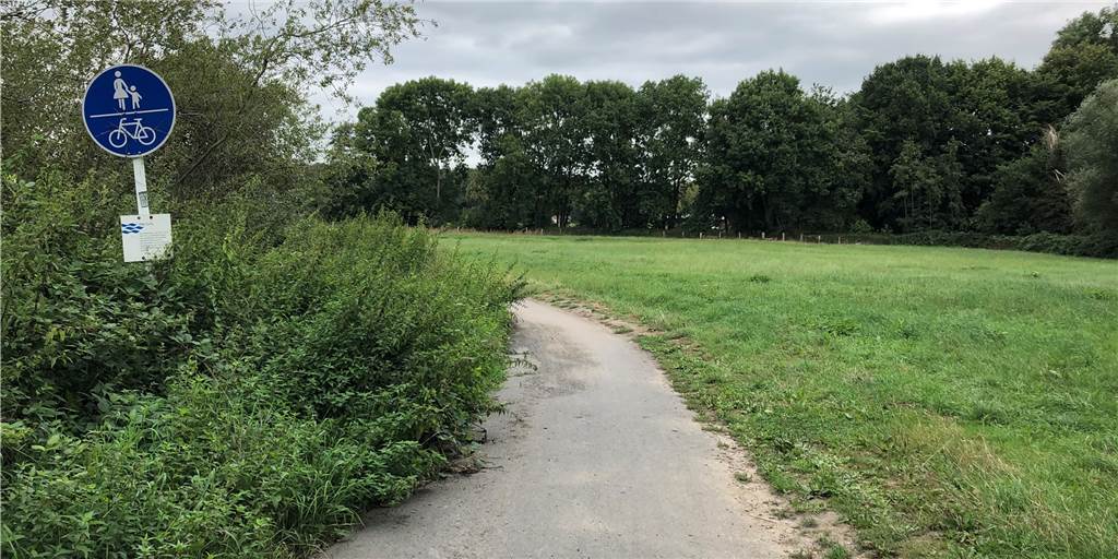 Auf dem Naturlehrpfad Alte Körne lernen Spaziergänger den Wald kennen Auf dem Naturlehrpfad Alte Körne lernen Spaziergänger den Wald kennen