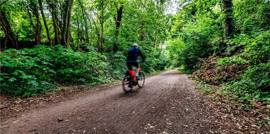 Entscheidung im Asphaltstreit: So soll der Radweg „Rheinischer Esel“ gestaltet werden Entscheidung im Asphaltstreit: So soll der Radweg „Rheinischer Esel“ gestaltet werden