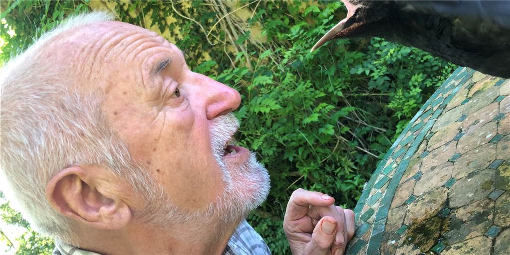 Wie der Legdener Hermann Heinzel (80) zu einem weltberühmten Vogelzeichner wurde Wie der Legdener Hermann Heinzel (80) zu einem weltberühmten Vogelzeichner wurde