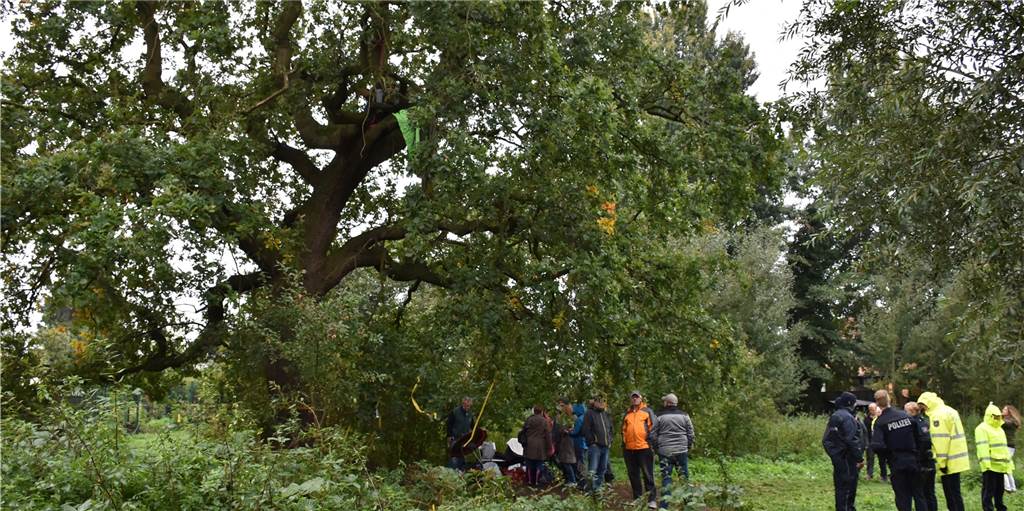 Der Kampf um die Alte Eiche: Das Protokoll eines äußerst ungewöhnlichen Tages Der Kampf um die Alte Eiche: Das Protokoll eines äußerst ungewöhnlichen Tages