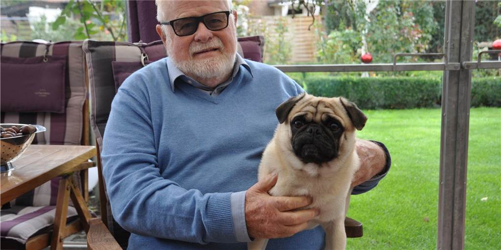Mops-Rüde Nico wurde schon wieder vom gleichen Hund angegriffen Mops-Rüde Nico wurde schon wieder vom gleichen Hund angegriffen