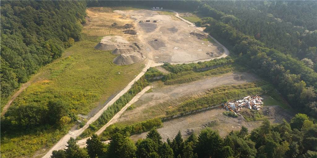 Bürgerinitiative fordert wegen des Klimawandels Bäume statt Forensik in der Haard Bürgerinitiative fordert wegen des Klimawandels Bäume statt Forensik in der Haard