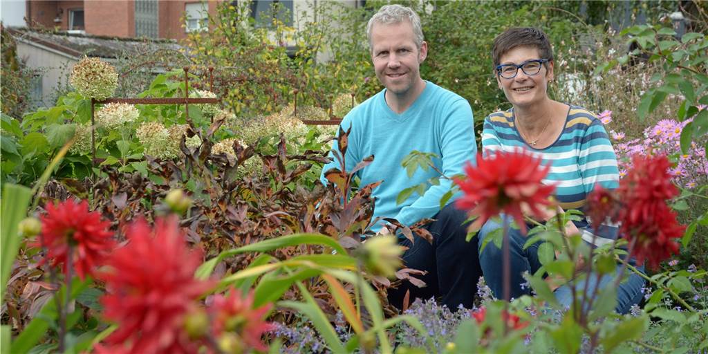 Grauer Kies statt grüner Garten: Wie viel Klimakrise steckt in den „Steinwüsten“? Grauer Kies statt grüner Garten: Wie viel Klimakrise steckt in den „Steinwüsten“?