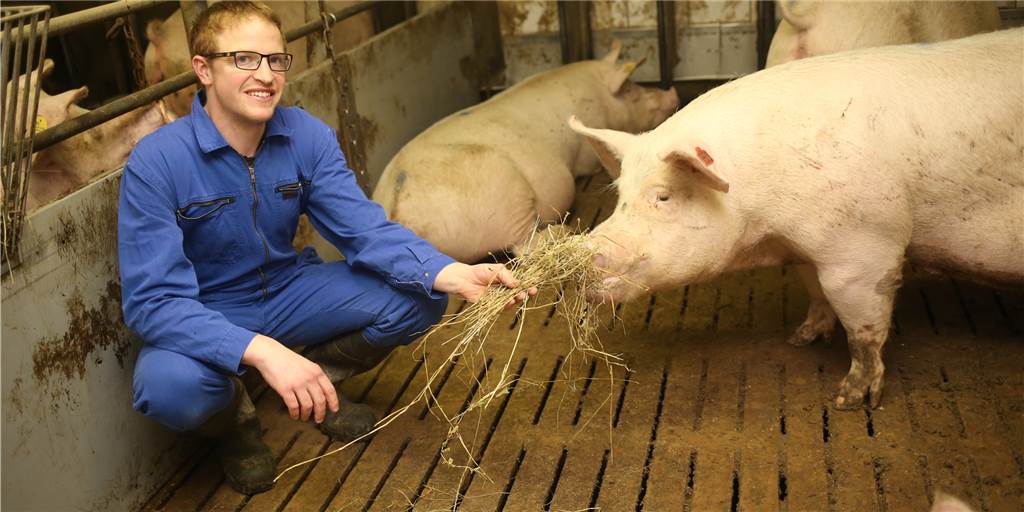 Neue Nutztierstrategie: Herberner Schweinebauer Tobias Großerichter (32) ist skeptisch Neue Nutztierstrategie: Herberner Schweinebauer Tobias Großerichter (32) ist skeptisch