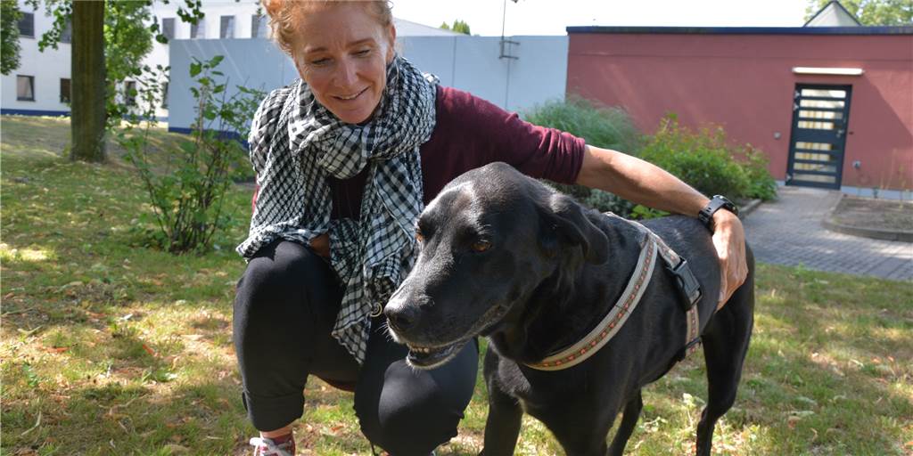 Hunde im Castrop-Rauxeler Knast treiben selbst Schwerverbrechern Tränen in die Augen Hunde im Castrop-Rauxeler Knast treiben selbst Schwerverbrechern Tränen in die Augen