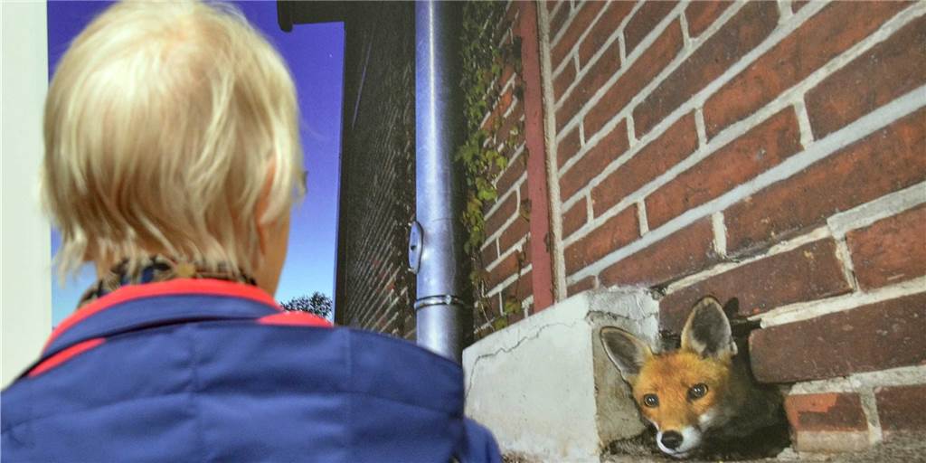 Naturfotofestival in Lünen: Hier kommen Besucher den Tieren ganz nah