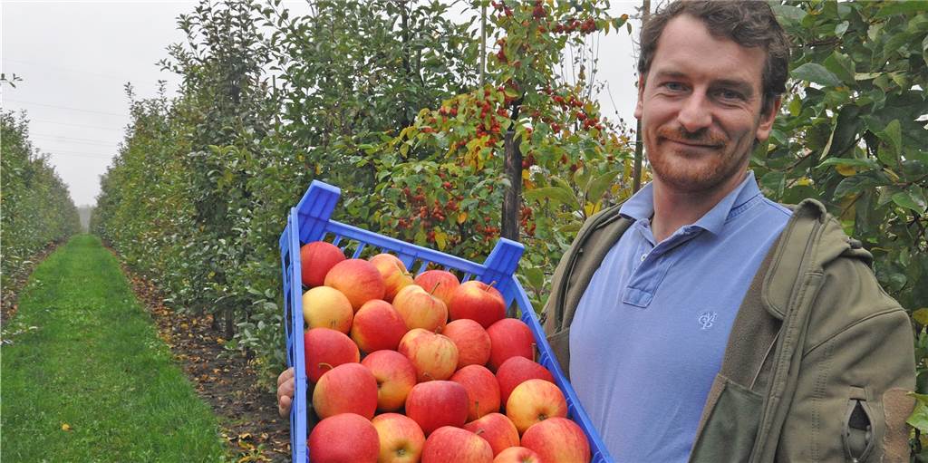 Diese Auswirkungen hat der Klimawandel auf die Apfelernte auf dem Halterner Obsthof Sebbel Diese Auswirkungen hat der Klimawandel auf die Apfelernte auf dem Halterner Obsthof Sebbel
