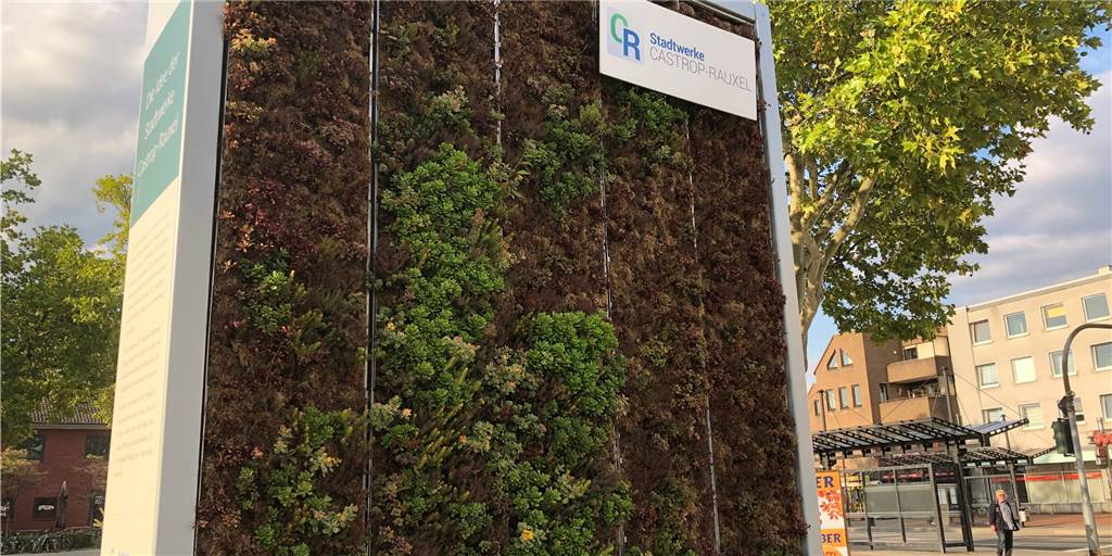 Warum der City Tree am Hauptbahnhof in Rauxel doch stehen bleiben soll Warum der City Tree am Hauptbahnhof in Rauxel doch stehen bleiben soll