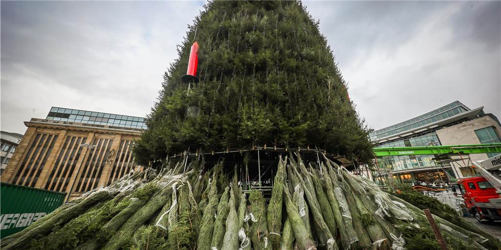 Kritik an der Weihnachtsstadt: Ist Dortmunds Riesen-Weihnachtsbaum eine Umweltsünde? Kritik an der Weihnachtsstadt: Ist Dortmunds Riesen-Weihnachtsbaum eine Umweltsünde?