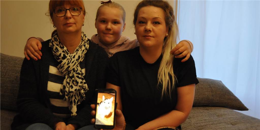 Katze in Lünen überfahren und direkt entsorgt - trotz Chip wurden Besitzer nicht informiert Katze in Lünen überfahren und direkt entsorgt - trotz Chip wurden Besitzer nicht informiert