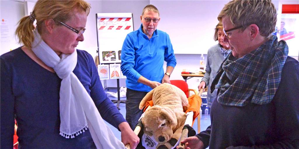 Viele Fotos: So funktioniert die „Erste Hilfe am Hund“