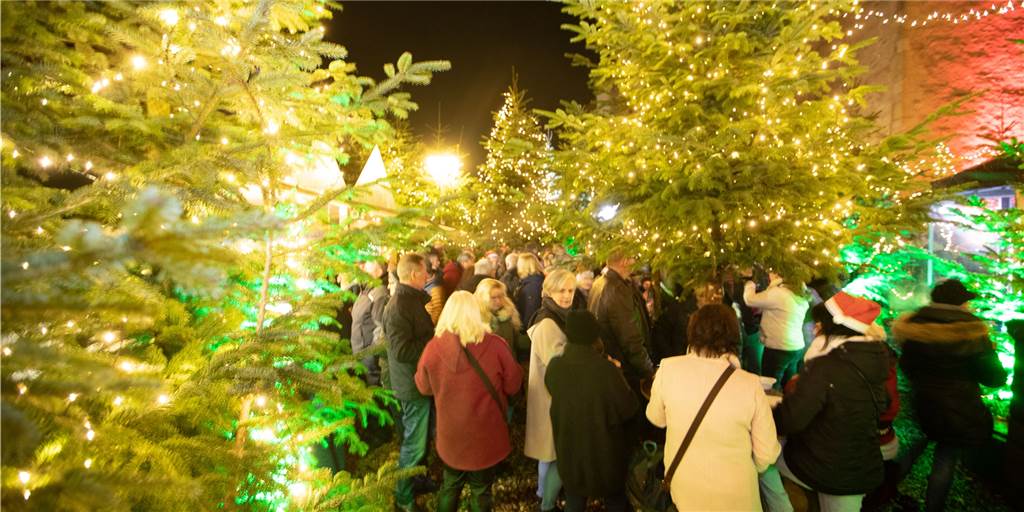 Glitzerwald in Selm: Zur Eröffnung gab es für die Gäste Schnee und ein besonderes Geschenk Glitzerwald in Selm: Zur Eröffnung gab es für die Gäste Schnee und ein besonderes Geschenk