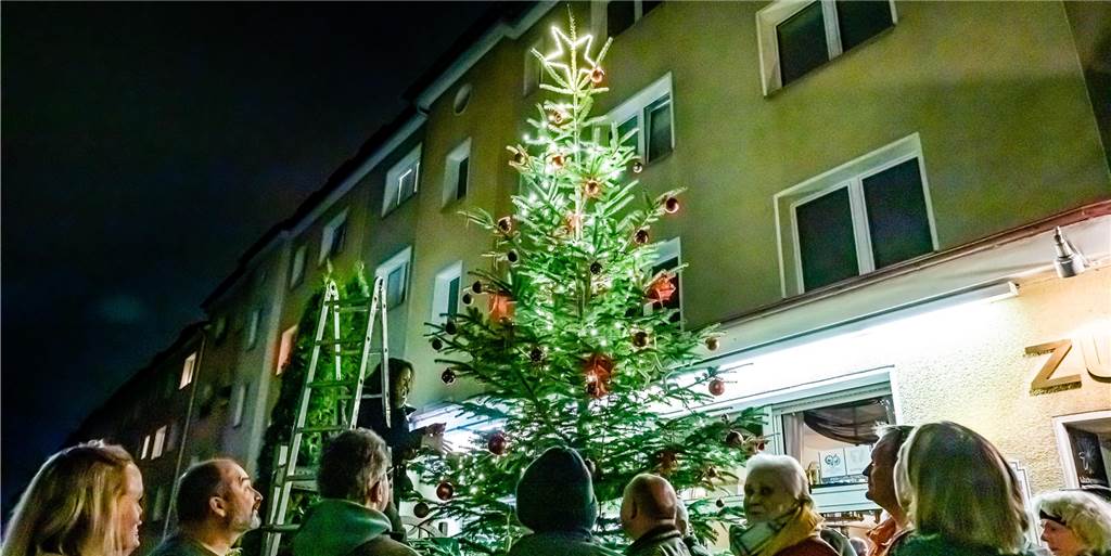 Der echte größte Weihnachtsbaum Dortmunds steht im Kreuzviertel Der echte größte Weihnachtsbaum Dortmunds steht im Kreuzviertel