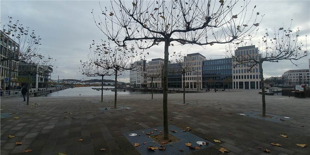 Vandalismus am Phoenix-See sorgt für Dunkelheit Vandalismus am Phoenix-See sorgt für Dunkelheit