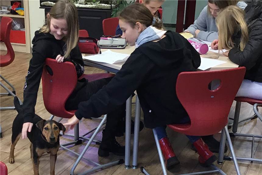 Wie Schulhündin „Funny“ den Unterricht an der Kreuzschule in Heek revolutioniert Wie Schulhündin „Funny“ den Unterricht an der Kreuzschule in Heek revolutioniert