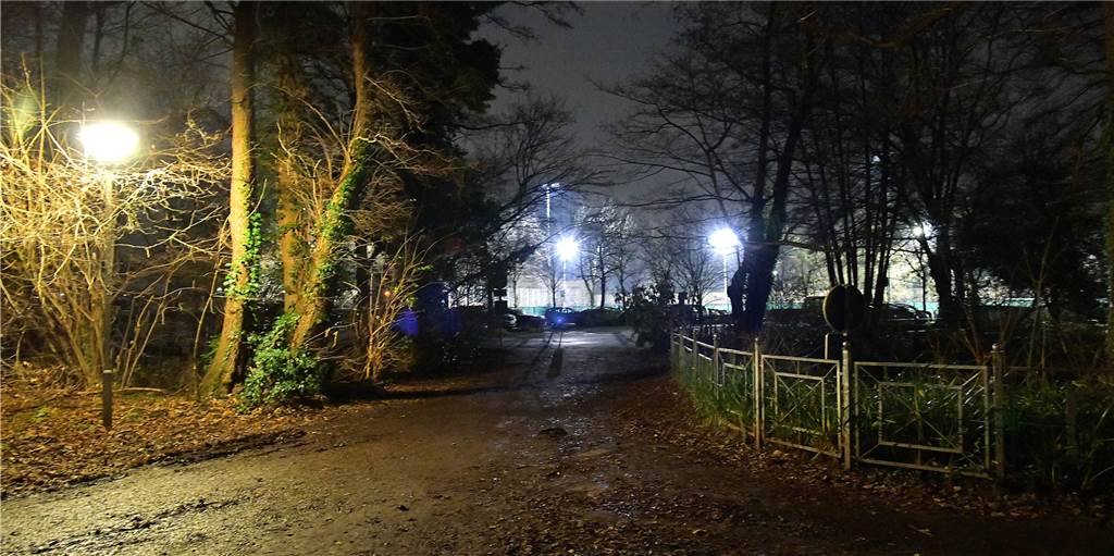 Cappenberger See: Es wurde Licht - die Lampen sind endlich an