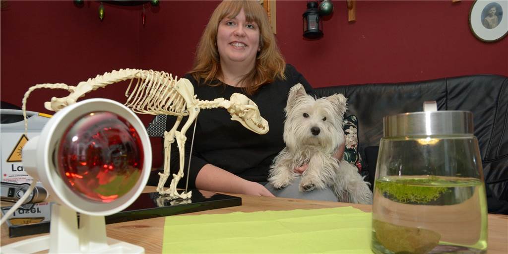 Physiotherapie für Tiere: Wiebke Holtmann (26) behandelt ihre Patienten mit Blutegeln und Co. Wiebke Holtmann (26) hat sich mit einer mobilen Physiotherapie für Tiere selbstständig gemacht. Auch West-Highland-Terrier Emma (4) spielte bei der Entscheidung eine Rolle.