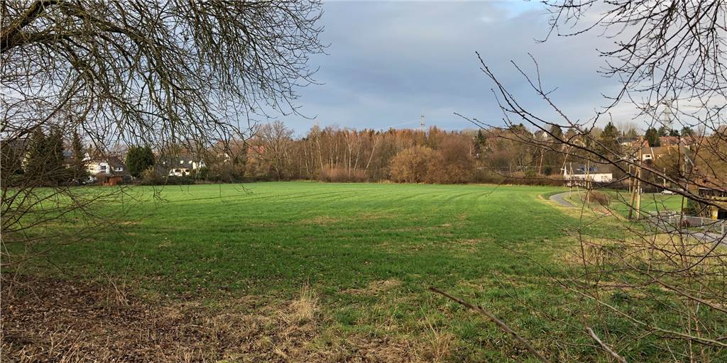 Hier ist in Dortmunds Süden Platz für neue Wohnungen Diese Fläche liegt am Kleinen Floraweg in Lücklemberg. Ausgewiesen ist sie für mögliche Wohnbebauung. Das heißt aber noch lange nicht, dass hier tatsächlich gebaut wird.