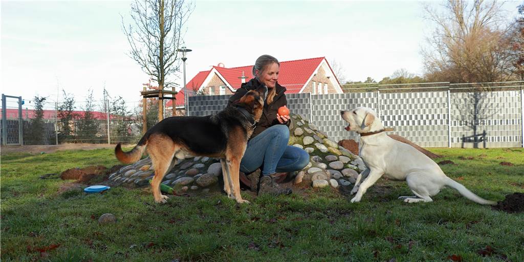 In Julias Tierheim warten Hunde und Katzen auf ein Happy End In Julias Tierheim warten Hunde und Katzen auf ein Happy End