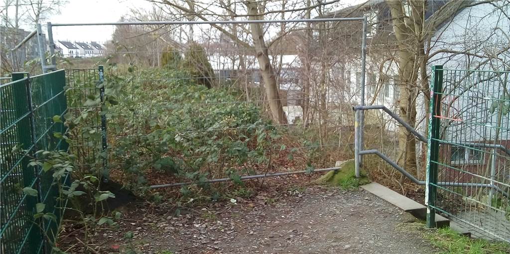 Bananenradweg: Entscheidung über Weiterbau fällt am Mittwoch Bananenradweg: Entscheidung über Weiterbau fällt am Mittwoch
