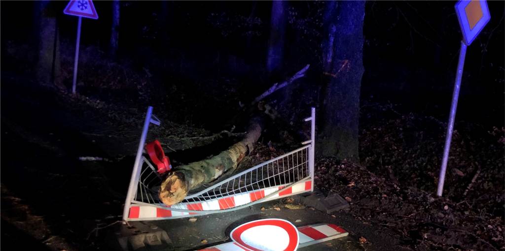 Schulunterricht, Feuerwehr, Schäden: Das ist die Bilanz des Orkantiefs „Sabine“ in Haltern Schulunterricht, Feuerwehr, Schäden: Das ist die Bilanz des Orkantiefs „Sabine“ in Haltern