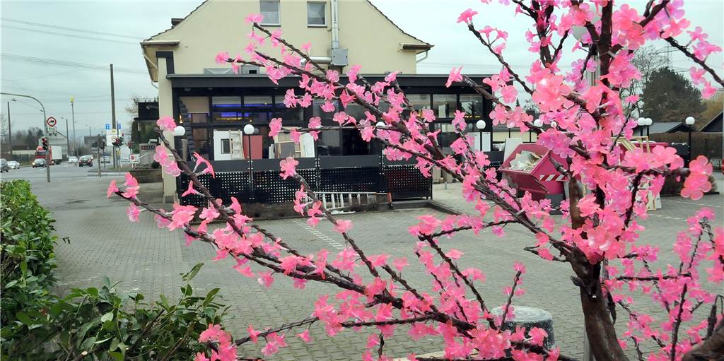 Neues China-Restaurant eröffnet im früheren Hai-Pin an der Hörder Straße