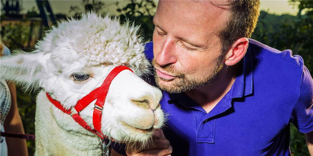 „Mission statt Profit“: Alpaka-Papa Daniel Hischke, seine Farm und der Ärger mit Hunden „Mission statt Profit“: Alpaka-Papa Daniel Hischke, seine Farm und der Ärger mit Hunden