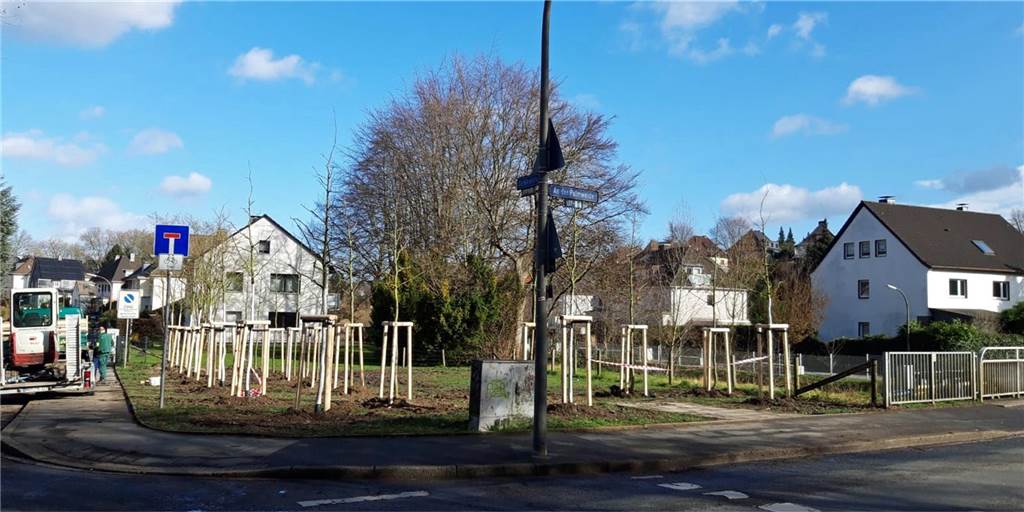 Stadt greift durch: Bäume sollen Parkchaos bei BVB-Spielen verhindern Auf dieser Grünfläche in der Nähe des Signal Iduna Parks stehen nun Bäume. Bis vor kurzem hatten Autos hier unerlaubt geparkt, wenn der BVB zuhause spielte.