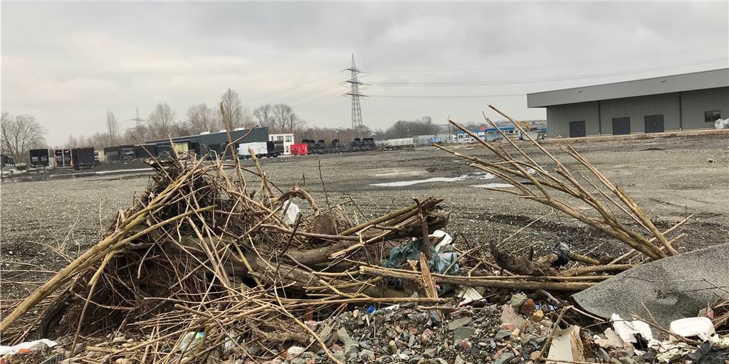 Alarm: Castrop-Rauxel gehen schon in wenigen Monaten die Gewerbeflächen aus Eins der wenigen noch unbelegten Grundstücke an der Von-Hofmann-Straße im Mittelstandspark West.