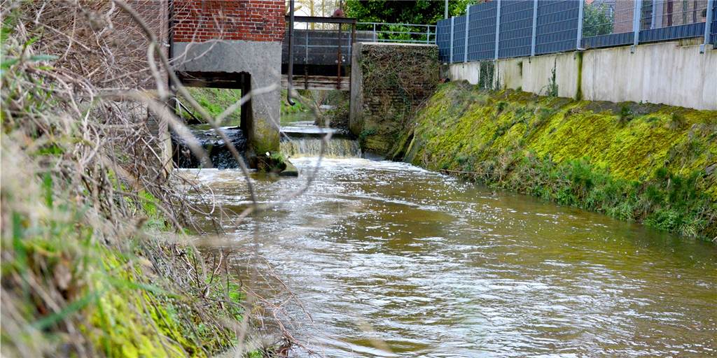 Südlohner Mühlenwehr soll im Sommer 2020 umgebaut werden Das Mühlenwehr in Südlohn soll noch in diesem Sommer umgebaut werden. Durch eine sogenannte "Raue Rampe" sollen Fische in Zukunft den Höhenunterschied zwischen Ober- und Unterwasser überwinden können.