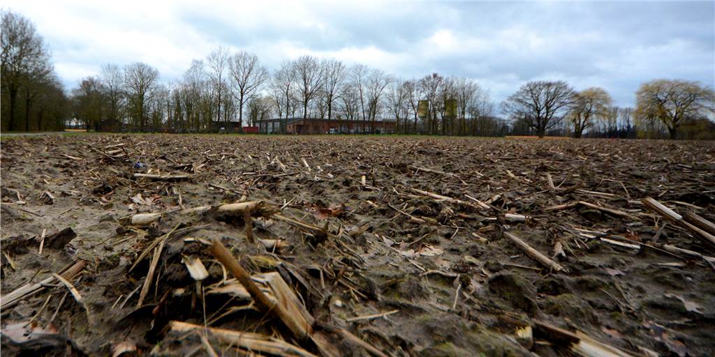 Streit über Erweiterung des Südlohner Bauhofs kocht im Bauausschuss hoch Nördlich des bestehenden Bauhofs in der Doornte will die Gemeinde neue Flächen kaufen und dort ein neues Gebäude für den Bauhof bauen. Die Planungskosten hat der Bauausschuss nach einigem Hin und Her freigegeben.