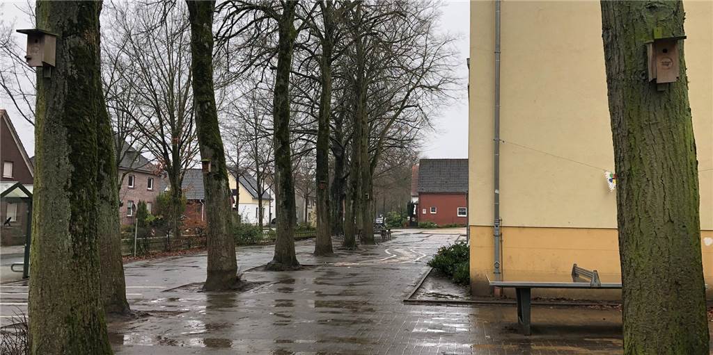 Bio-Station zu Gift-Raupen: „Das Aufhängen von Nistkästen alleine hilft nicht“ An der Grundschule in Flaesheim hat die Stadt im Herbst 20 von 100 Nistkästen aufgehängt.