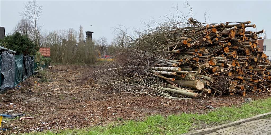 An der Emscherallee soll eine Rettungswache entstehen – nahe einem berüchtigten Tagesbruch Die Fläche, die überprüft wird, wurde bereits gerodet.
