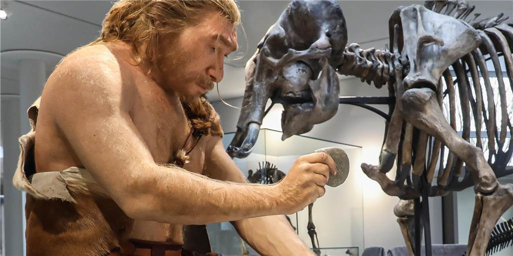 Nach Verzögerung: „Naturmuseum Dortmund“ steht vor Neueröffnung und gibt erste Einblicke Nach Verzögerung: „Naturmuseum Dortmund“ steht vor Neueröffnung und gibt erste Einblicke