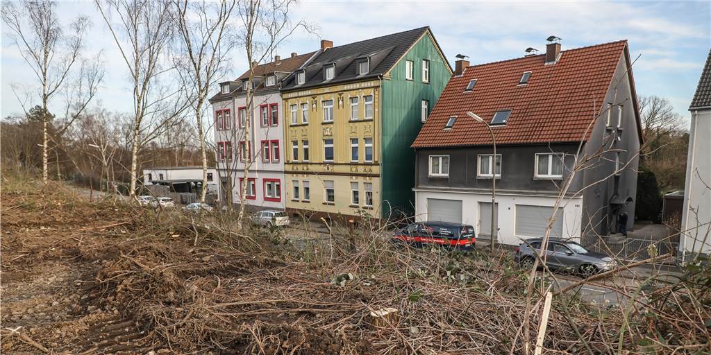 Strafe droht: Firma hat in Kirchderne zwei Bäume rechtswidrig gefällt Kahlschlag herrscht vor dem Haus der Familie Schett an der Derner Straße. Jetzt stellt sich heraus: Nicht alle Bäume hätten gefällt werden dürfen