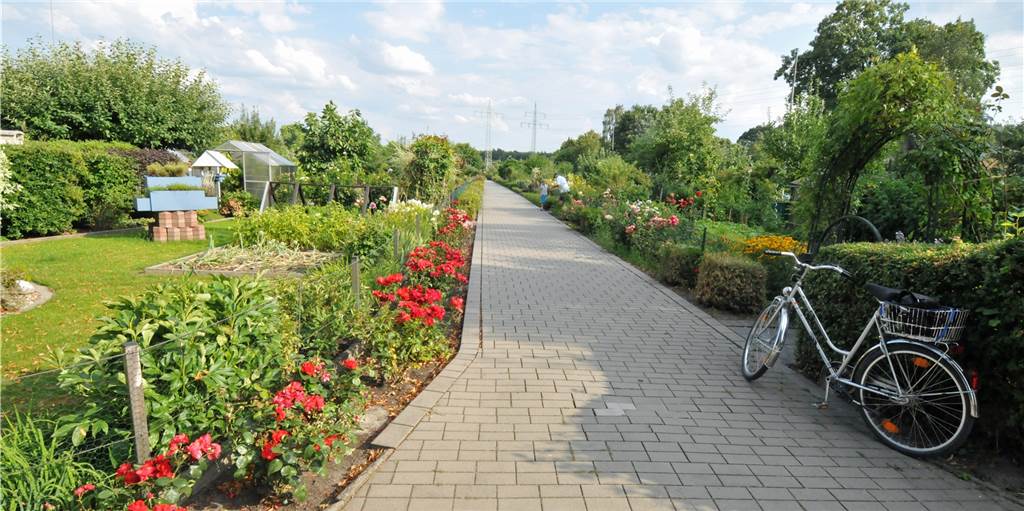 Kassierer hat Gartenverein in Dortmund über Jahre um Geld betrogen
