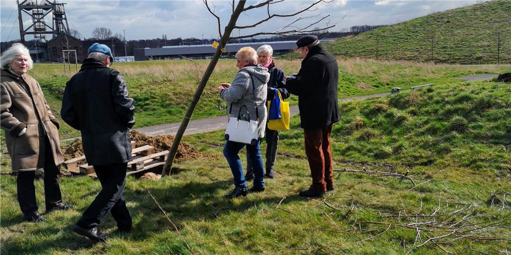Bäume und Nähmaschinen bringen Menschen in Derne zusammen Die Mitglieder des Vereins "Gerne in Derne" haben im Gneisenaupark weitere Bäume gepflanzt.