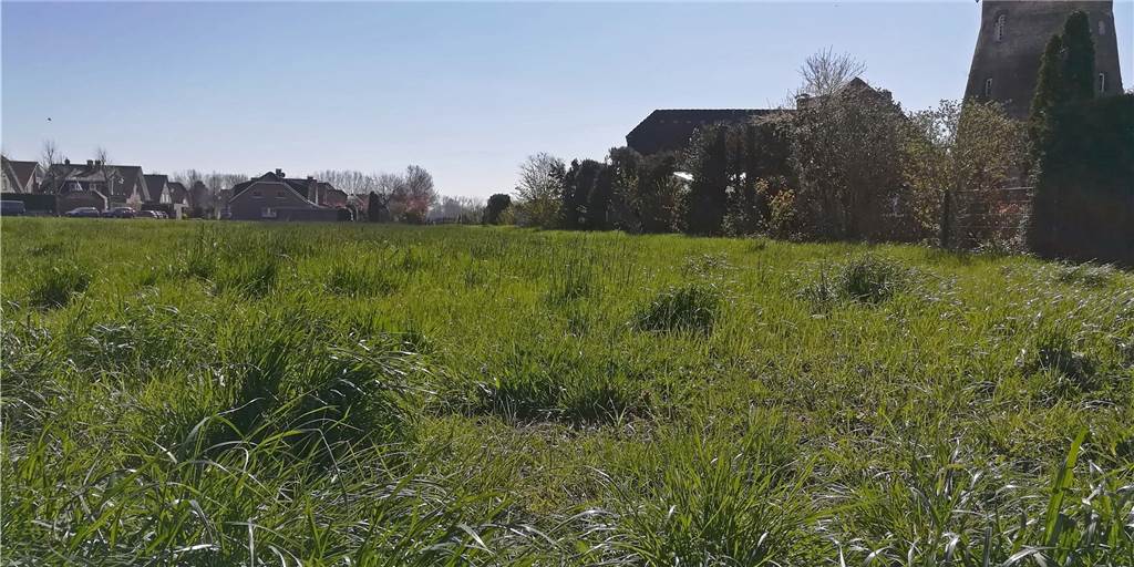 Gemeinde Nordkirchen kauft 1500 Quadratmeter große Fläche neben der Mühle Rath Auf dieser Fläche im Wohngebiet Bolland neben der Mühle Rath hat die Gemeinde ein Grundstück gekauft.